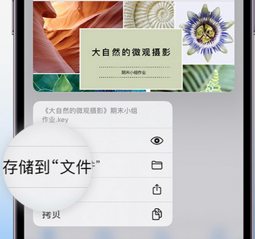 水满乡apple维修中心分享iPhone文件应用中存储和找到下载文件