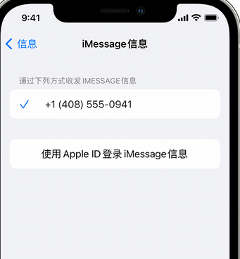 水满乡apple维修iPhone上无法正常发送iMessage信息 