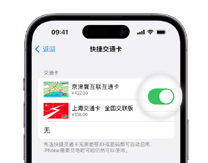 水满乡apple维修点分享iPhone上更换Apple Pay快捷交通卡手绘卡面 