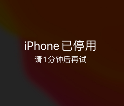 水满乡苹果手机维修分享:iPhone 显示“不可用”或“已停用”怎么办？还能保留数据吗？ 