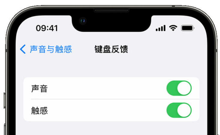 水满乡苹果手机维修分享iPhone 14触感键盘使用方法 