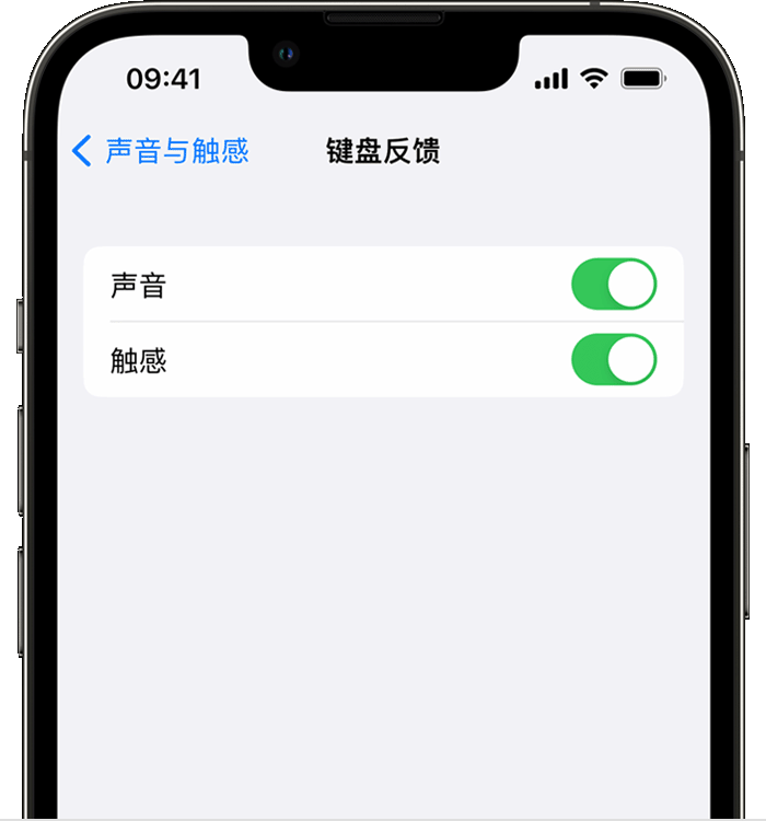 水满乡苹果14维修店分享如何在 iPhone 14 机型中使用触感键盘 