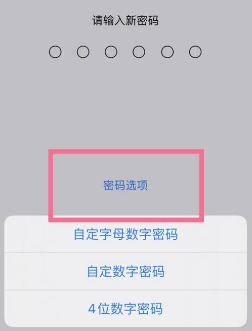 水满乡苹果14维修分享iPhone 14plus设置密码的方法 