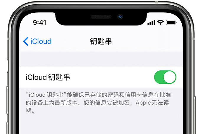 水满乡苹果手机维修分享在 iPhone 上开启 iCloud 钥匙串之后会储存哪些信息 